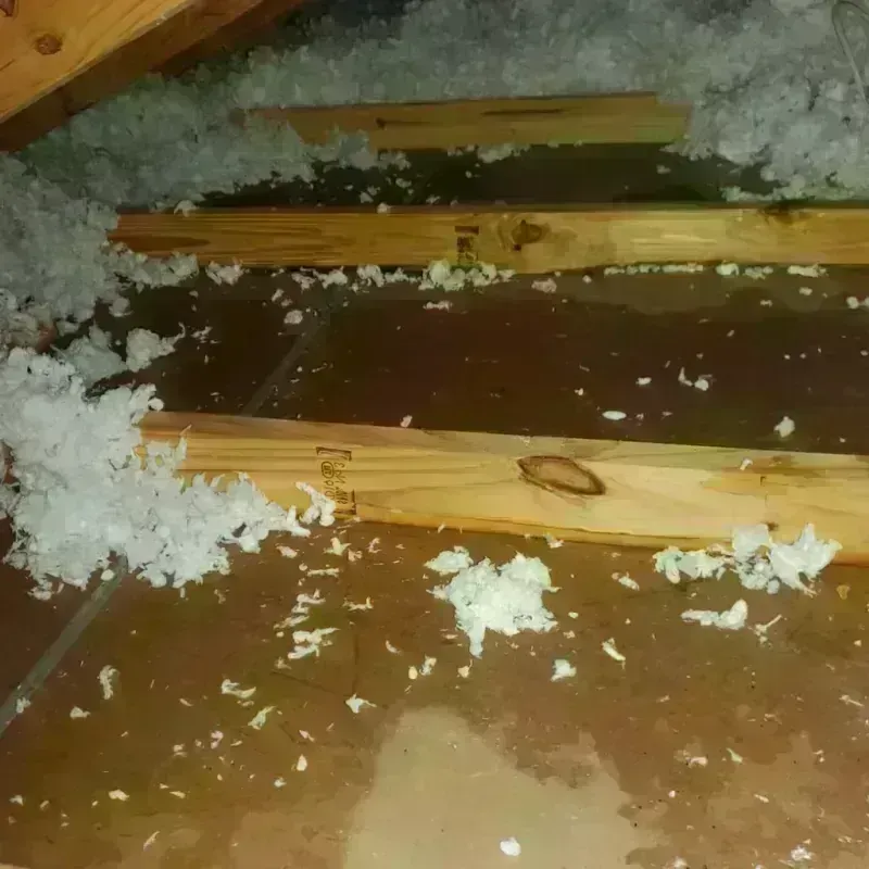 Attic Water Damage in Hysham, MT